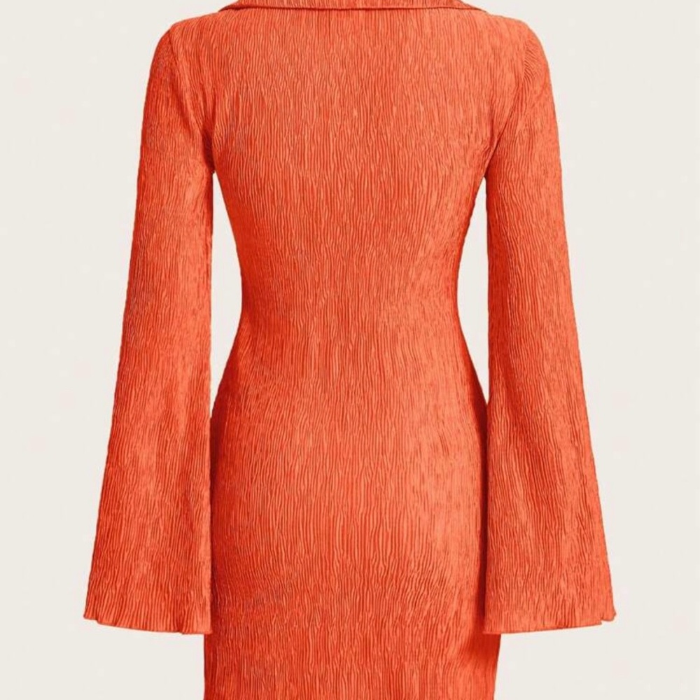 Orange Fringe Dress (X-Small) - Picture 2 of 7